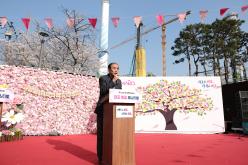 마포구 벚꽃 페스티벌 2