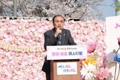 마포구 벚꽃 페스티벌 3