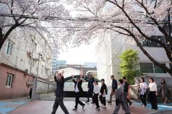 마포구 벚꽃 페스티벌 6