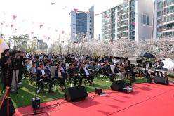 마포구 벚꽃 페스티벌 8