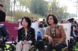 마포구 벚꽃 페스티벌 14