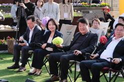 마포구 벚꽃 페스티벌 22