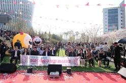 마포구 벚꽃 페스티벌 27