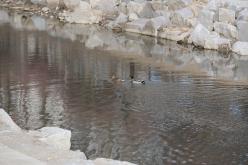 마포구 월드컵천 환경개선 준공식 17