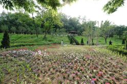 상암동 야생화정원 개장식 1