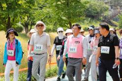 제1회 마포 월드컵천 황금보리 축제 걷기대회 5