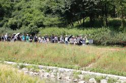 제1회 마포 월드컵천 황금보리 축제 걷기대회 7