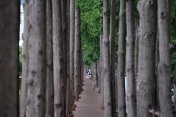 설렘길 개통식 및 성산2동 작은 음악회 30