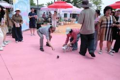 마포반려동물캠핑장 댕댕이 물놀이장 개장식 11