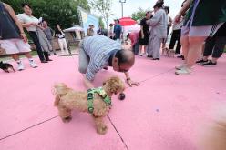 마포반려동물캠핑장 댕댕이 물놀이장 개장식 14
