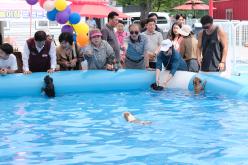 마포반려동물캠핑장 댕댕이 물놀이장 개장식 17