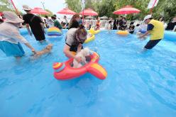 마포반려동물캠핑장 댕댕이 물놀이장 개장식 19