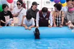 마포반려동물캠핑장 댕댕이 물놀이장 개장식 21