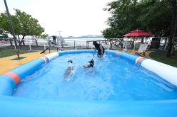 마포반려동물캠핑장 댕댕이 물놀이장 개장식 28