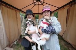 마포반려동물캠핑장 댕댕이 물놀이장 개장식 33