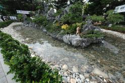 마포 댕댕이 공원 개장식 16