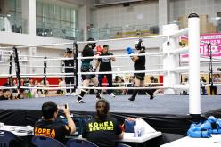 제11회 마포구청배 킥복싱대회 16