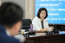 복지도시위원회 회의-제278회 마포구의회 임시회  17