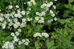'대한민국 새단장' 한국자유총연맹과 함께 해요! 12