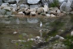 '대한민국 새단장' 한국자유총연맹과 함께 해요! 19