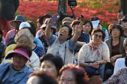 제3회 상사화 축제 32