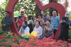 제3회 상사화 축제 34