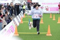 새우젓축제-마포구 반려견 스포츠대회 1