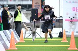 새우젓축제-마포구 반려견 스포츠대회 5