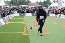 새우젓축제-마포구 반려견 스포츠대회 7