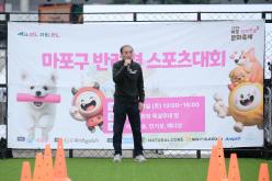 새우젓축제-마포구 반려견 스포츠대회 11