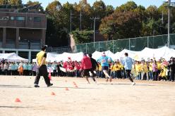 제1회 마포구민체육대회 177