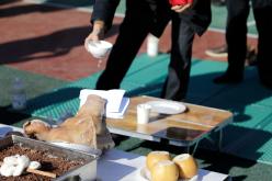 FC상암DMC 안전기원제 1