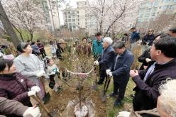 제81회 식목일 기념 릴레이 정원만들기 행사-국화정원 19