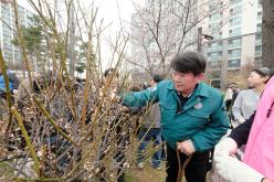 제81회 식목일 기념 릴레이 정원만들기 행사-국화정원 20