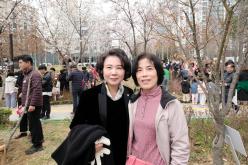 제81회 식목일 기념 릴레이 정원만들기 행사-국화정원 26