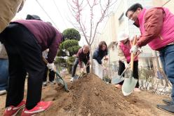 제81회 식목일 기념 릴레이 정원만들기 행사-샛터근린정원 12