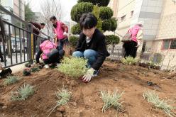 제81회 식목일 기념 릴레이 정원만들기 행사-샛터근린정원 27