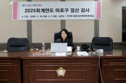 2025회계연도 마포구 결산 검사 2