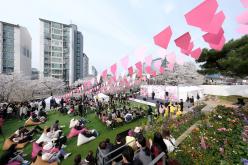 2026 제2회 마포구 벚꽃 페스티벌 2