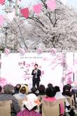 2026 제2회 마포구 벚꽃 페스티벌 12
