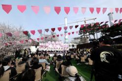 2026 제2회 마포구 벚꽃 페스티벌 21